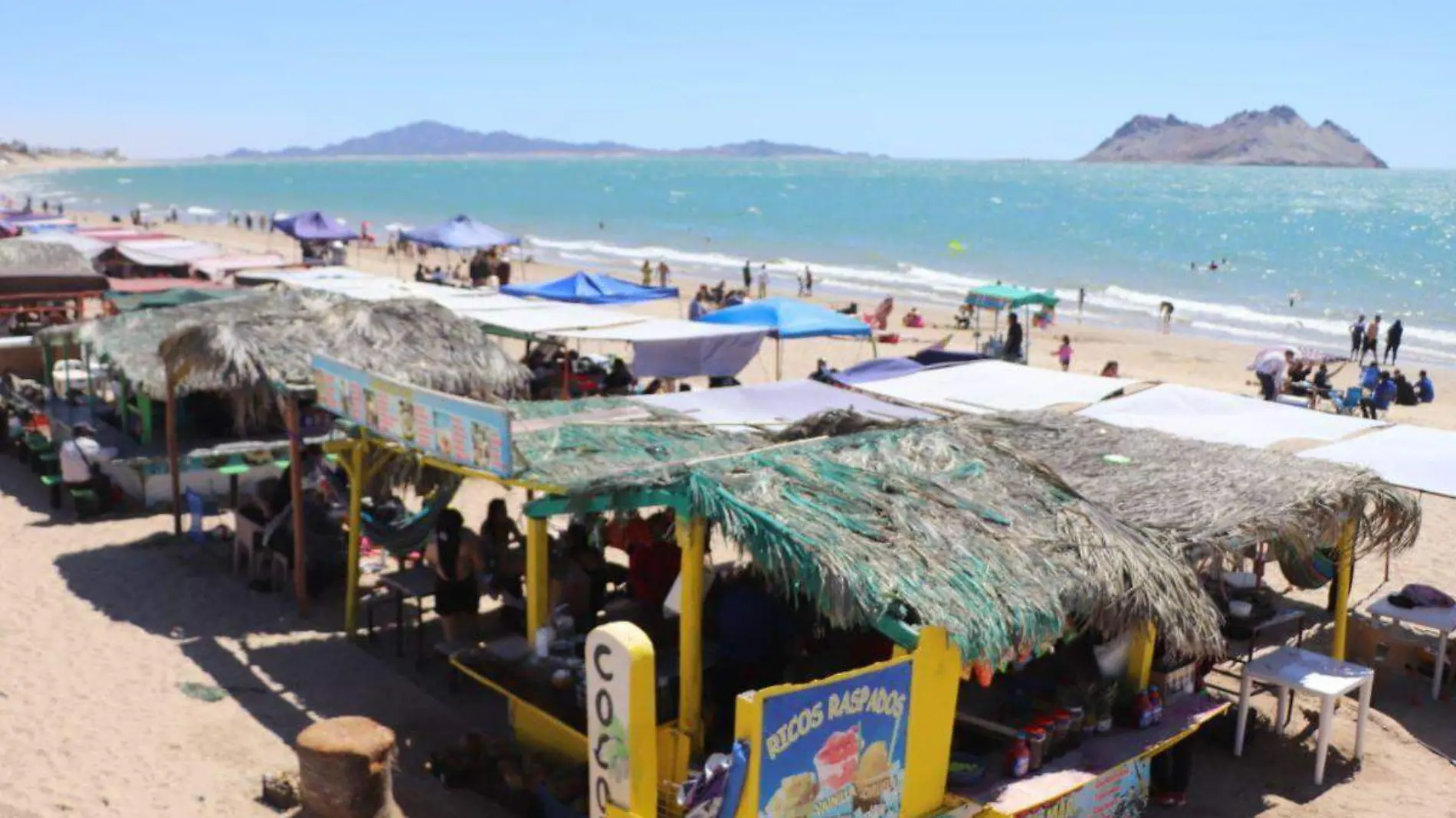 Carpas en Bahía de Kino